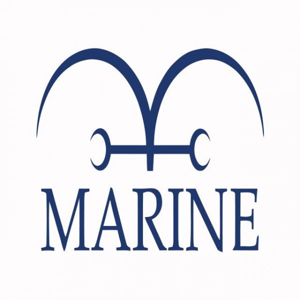 Tee shirt One piece marine blanc