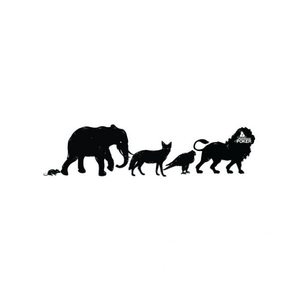 Poker evolution