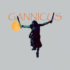 T-shirt Gannicus gray