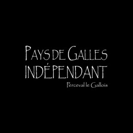 Tee shirt Kaamelott Perceval Pays de Galles indépendant noir