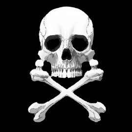 Albator-Captain Harlock.Skull