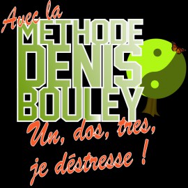 Tee shirt Fais pas ci fais pas ca Denis Bouley noir