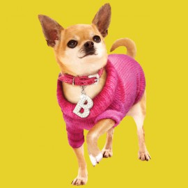 shirt chihuahua clothes yellow