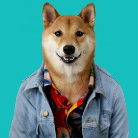 menswear shirt light blue dog