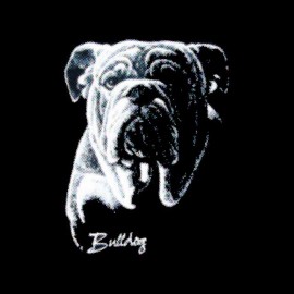 tee shirt bulldog trame