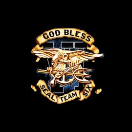 tee shirt god bless navy seal team six