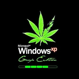 tee shirt micropot windows ganja