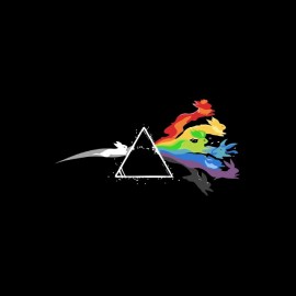 tee shirt pokemon version pink floyd