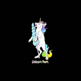 tee shirt licorne porno humour