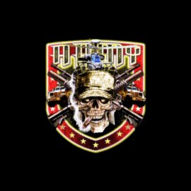 tee shirt skull marines us army