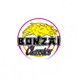 tee shirt bonzai records vintage label