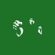 Tee shirt Bruce Lee blanc/vert bouteille