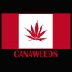 Flag shirt canada cannabis canaweed green / black