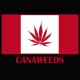 Camisa de la bandera de Canadá cannabis canaweed verde / negro