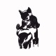 Tee shirt catwoman noir/blanc