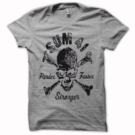 Tee shirt SUM 41 gris