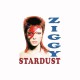 T-shirt Ziggy Stardust David Bowie white