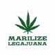 Camisa Marilize Legajuana verde / blanco