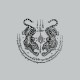Tee shirt Muay Thai yan suea koo ยันเสือกู gris