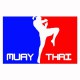 camiseta Muay Thai rules blanco