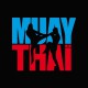 Tee shirt Muay Thai picto2 / noir