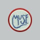 Tee shirt Muse vintage rare gris