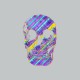 Tee shirt Rainbow Skull gris