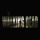 Tee shirt The Walking Dead titre campagne noir