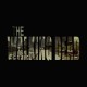 Tee shirt The Walking Dead titre new york noir