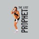 camiseta Chuck Norris  the lost prophet gris
