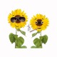 Tee shirt tournesols cool blanc