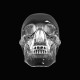 T-shirt crystal skull white/black