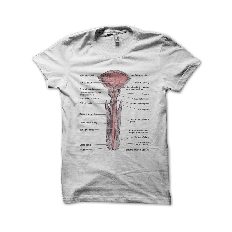 Tee shirt Penis Anatomie blanc.