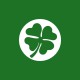 Tee shirt Irlande parodie la Lanterne Verte vert