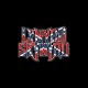 Lynyrd Skynyrd confederate