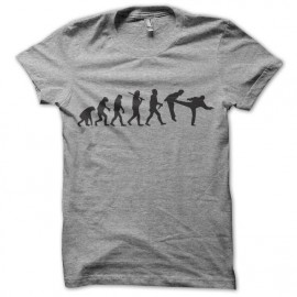 tee shirt gris chuck norris evolution pied dans la gueule