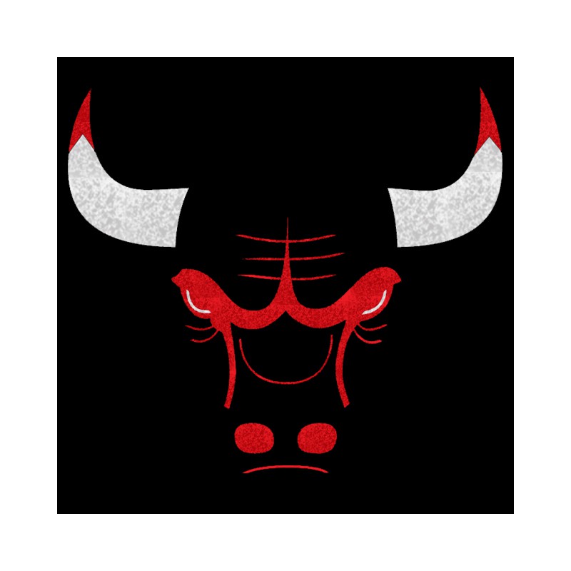 tee shirt logo chicago bulls black
