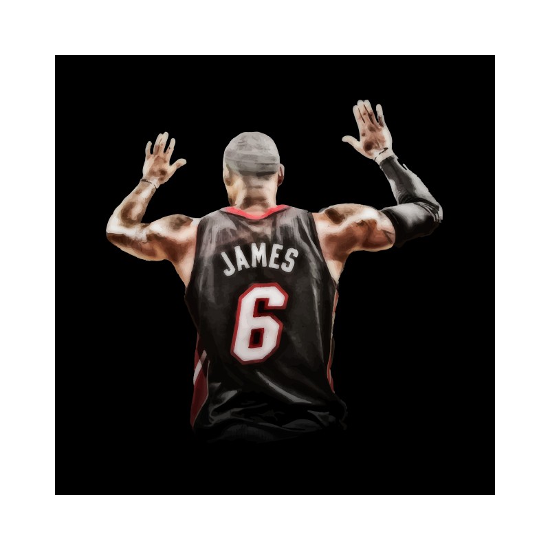 lebron james miami shirt