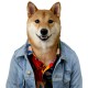 shirt menswear white dog