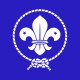tee shirt scout blue