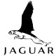 Jaguar camisa blanca