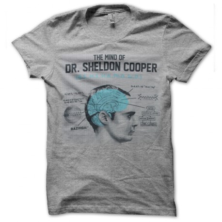 own the mind of dr sheldon cooper gray