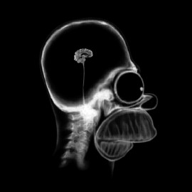 tee-shirt-homer-cerveau-noir.jpg
