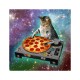pizza cat sublimation t-shirt