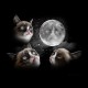 tee shirt cat of the moon