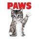 tee shirt paws chaton