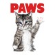 paws kitten t-shirt
