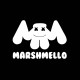 marshmello electro dj t-shirt