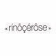 Tee shirt Rinoçerose noir/blanc