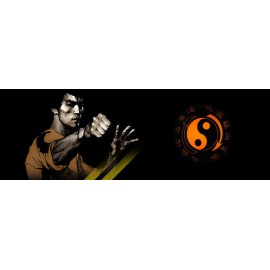 Bruce lee